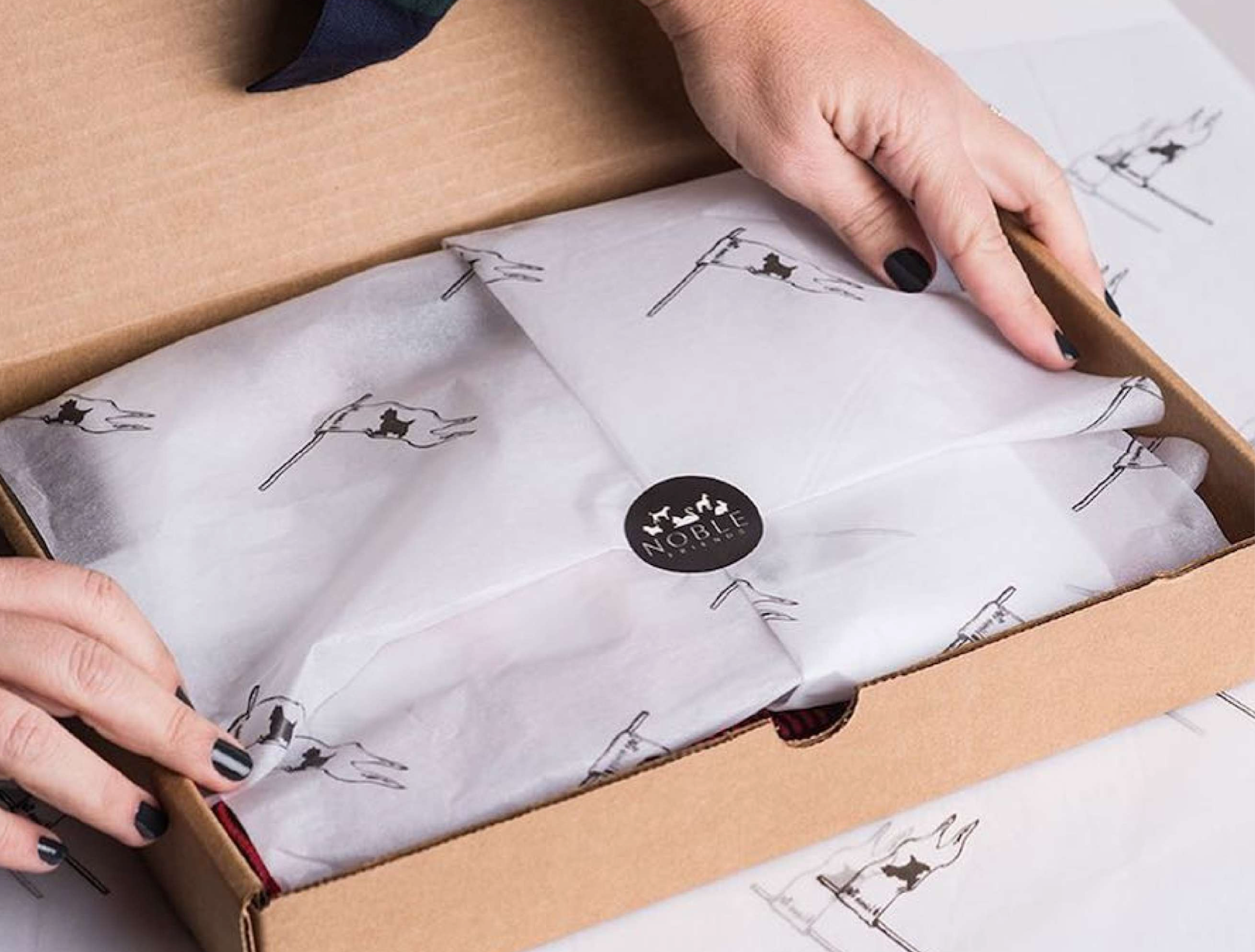 Printed White Tissue Paper - Compostable